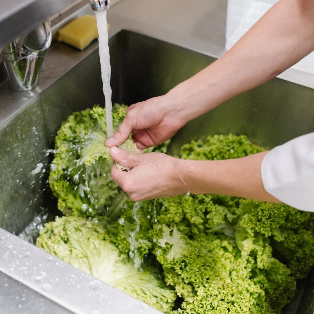 chef washing lettuce in sink