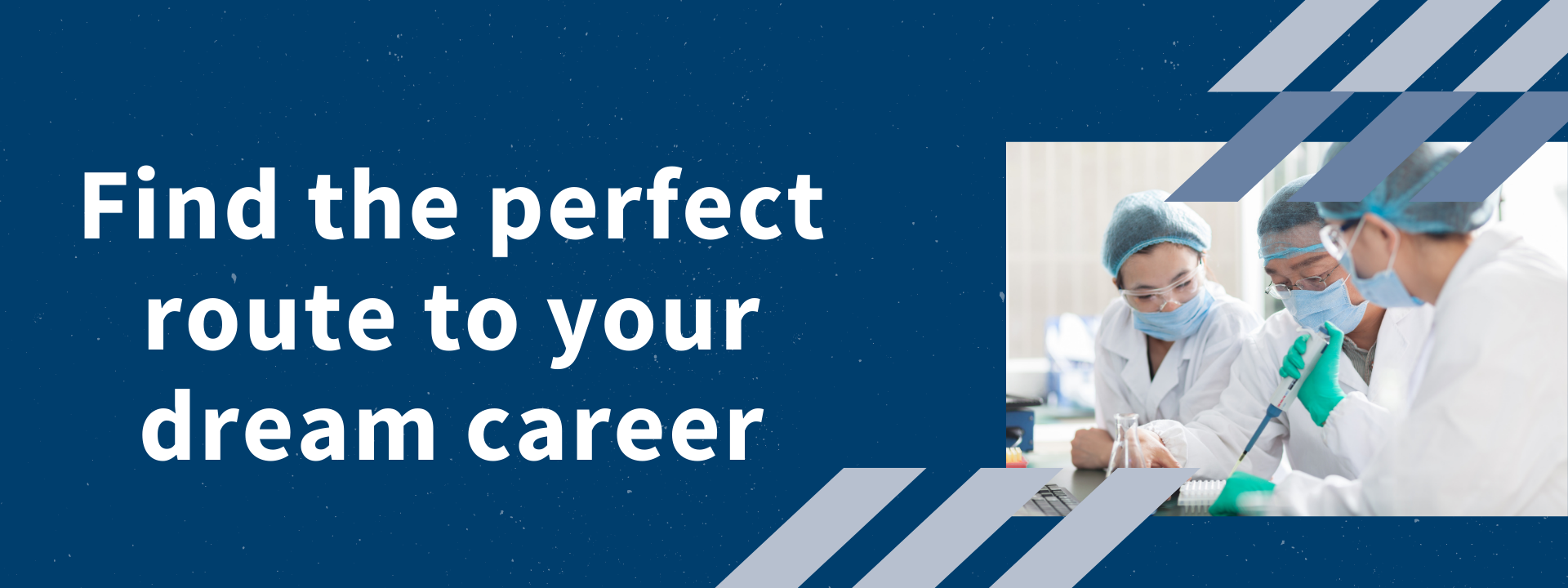 Find the perfect route to your dream career