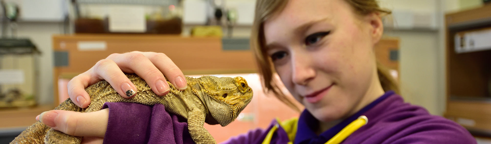 Animal Management