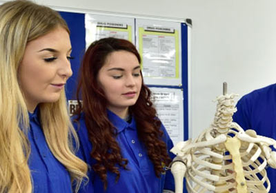 Two Female Health And Social Care Apprentices Analysing Human Skeleton Model