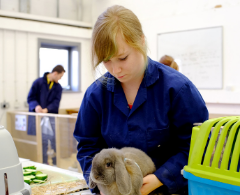 Animal Management Case Study Jessica O'Mahoney Holding A Black Rabbit