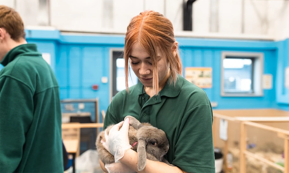 Animal Management student holding rabbit