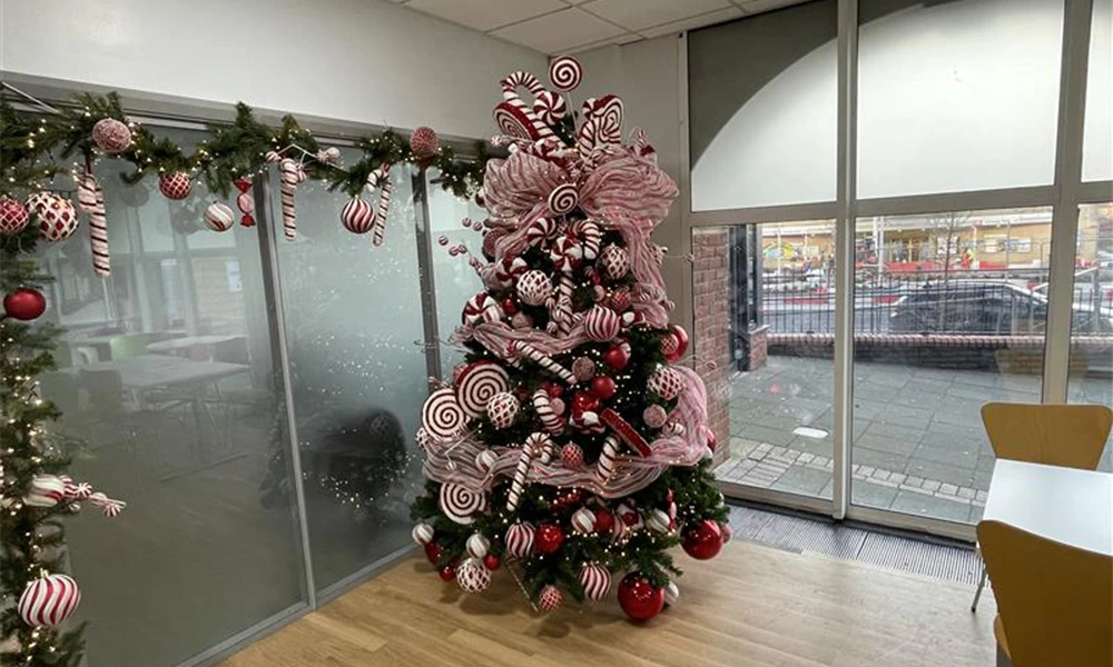 Christmas tree on display at Conway Park for 2025